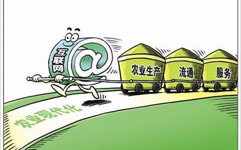 杞县等10县区定为县域特色农产品供应链示范县