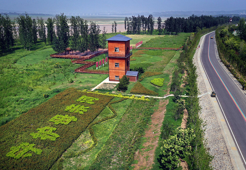 这是8月11日在河南省洛阳市孟津区拍摄的黄河生态廊道(无人机照片)