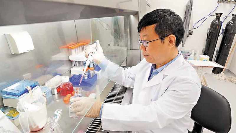 香港中文大学新型病毒纳米纤维技术为治癌带来新突破