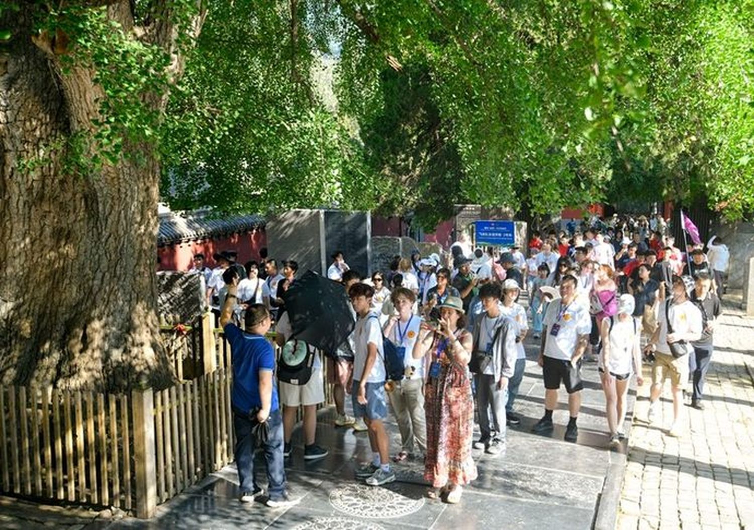 美国飞虎队青年代表走进河南